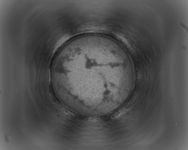 X0000096951267200802291048