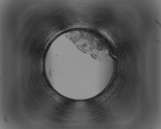 X0000096951268200802291048