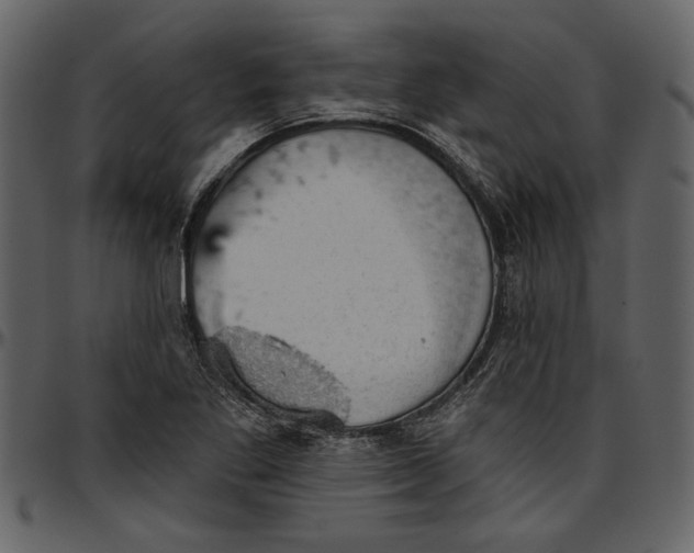 X0000096951269200802291047