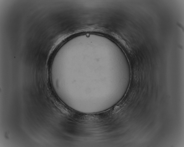 X0000096951270200802291047