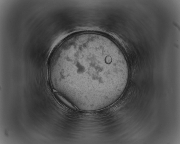 X0000096951271200802291047