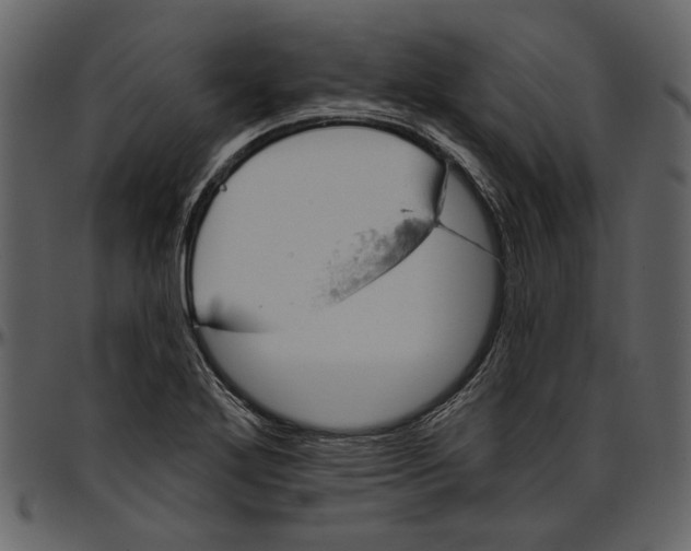 X0000096951272200802291047