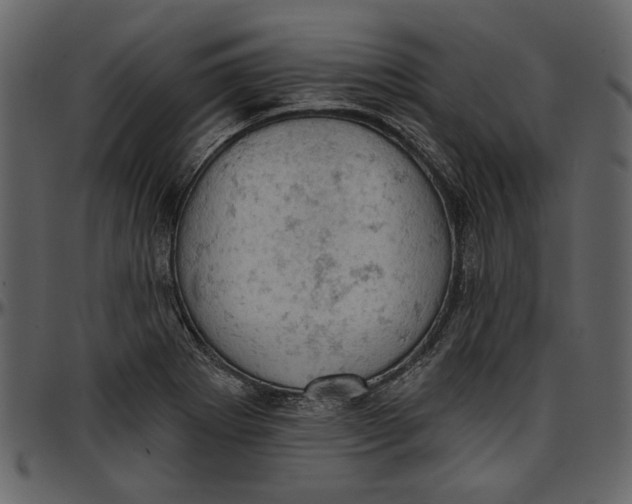 X0000096951273200802291047