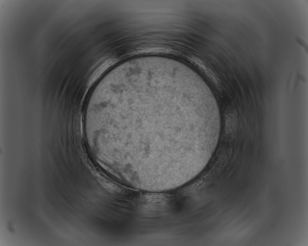 X0000096951274200802291047