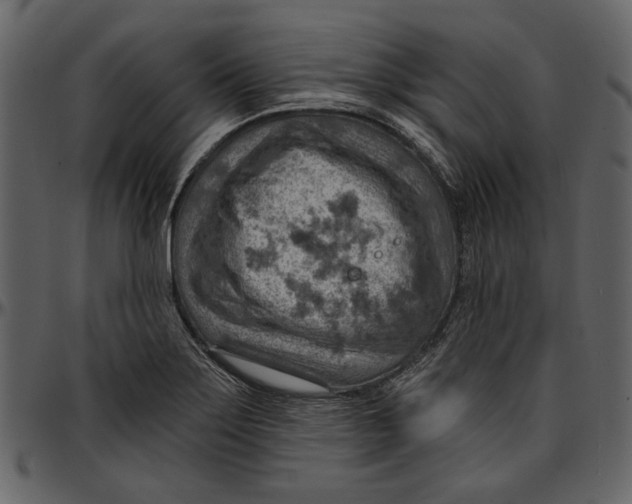 X0000096951275200802291047