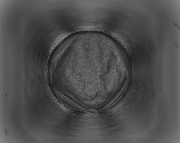 X0000096951277200802291047