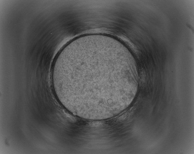 X0000096951278200802291047