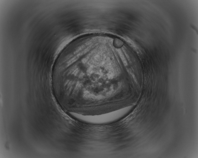 X0000096951279200802291047