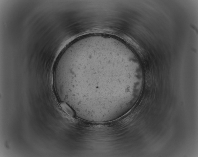 X0000096951280200802291047