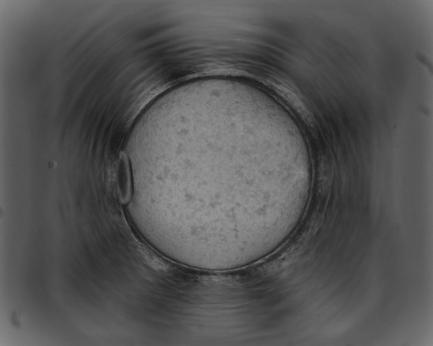 X0000096951281200802291047