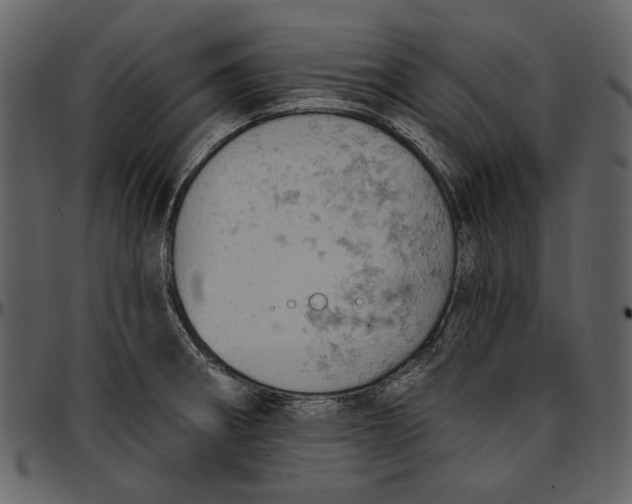 X0000096951282200802291047