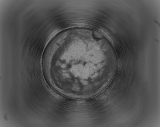 X0000096951283200802291047