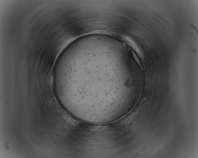 X0000096951284200802291047