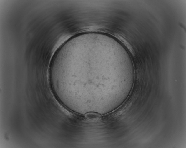 X0000096951285200802291047