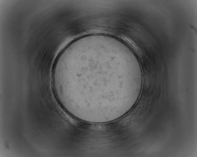 X0000096951286200802291047