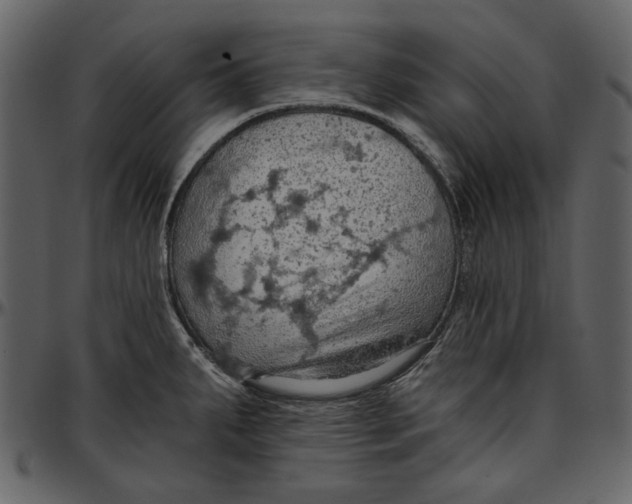 X0000096951287200802291047