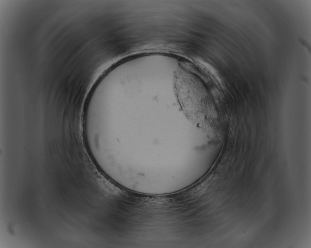 X0000096951288200802291047