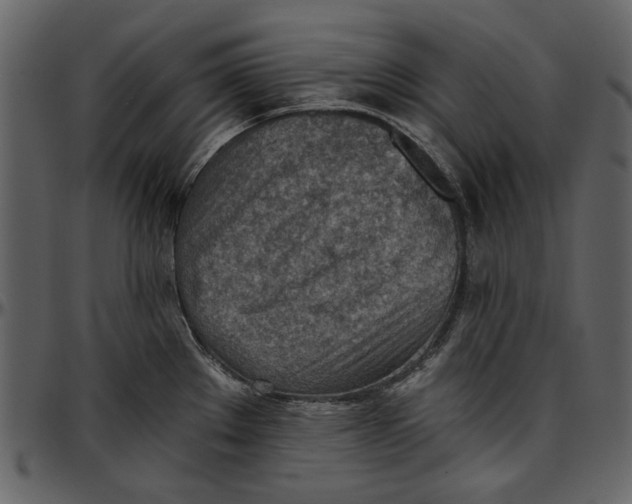 X0000096951289200802291047