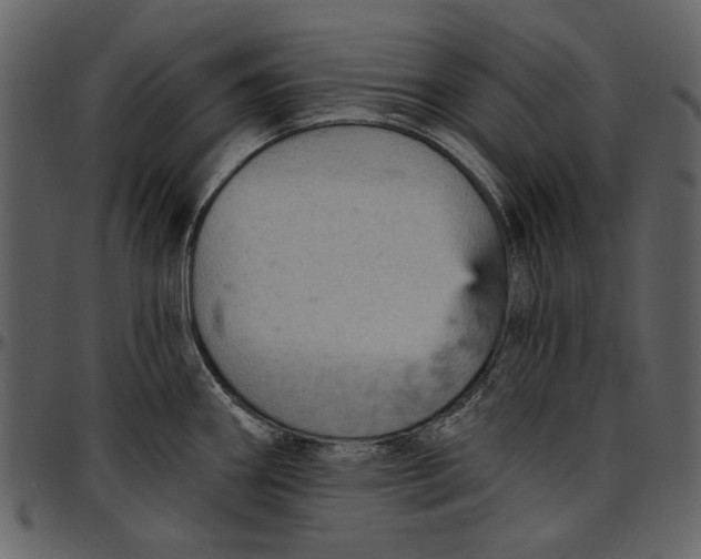 X0000096951290200802291047