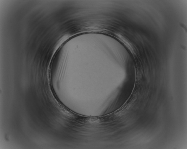 X0000096951291200802291047