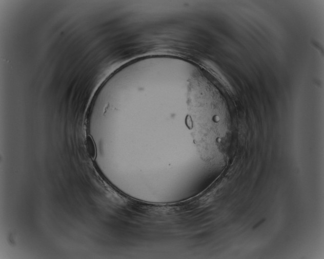 X0000096951292200802291047