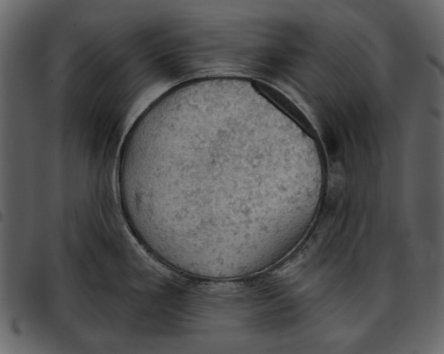 X0000096951293200802291047