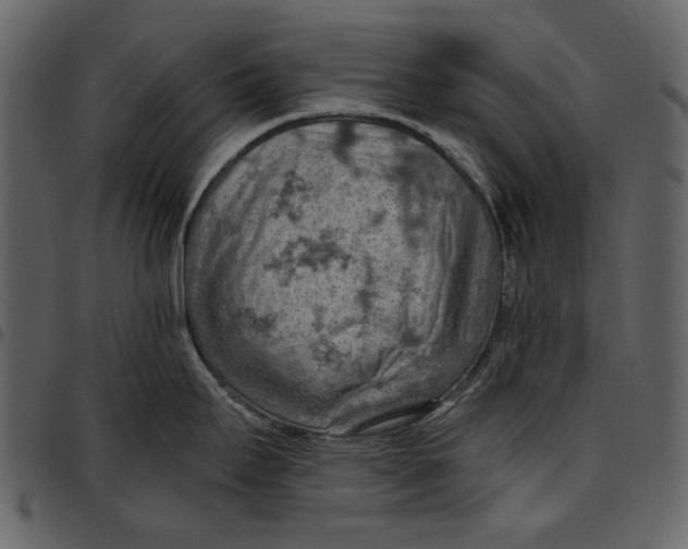 X0000096951295200802291047