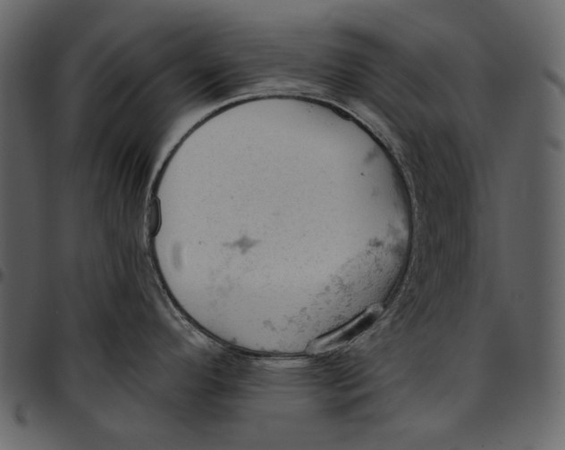 X0000096951296200802291047