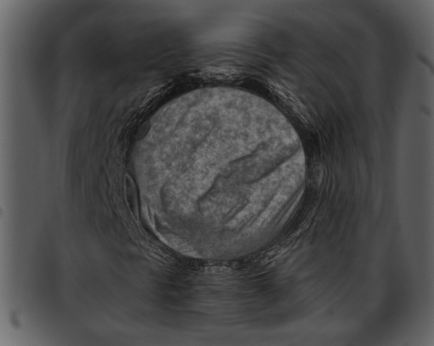 X0000096951297200802291046