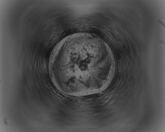 X0000096951298200802291046