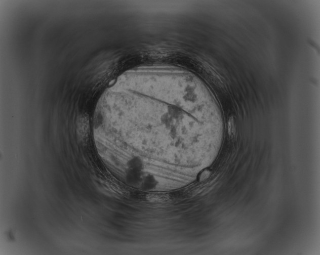 X0000096951299200802291046