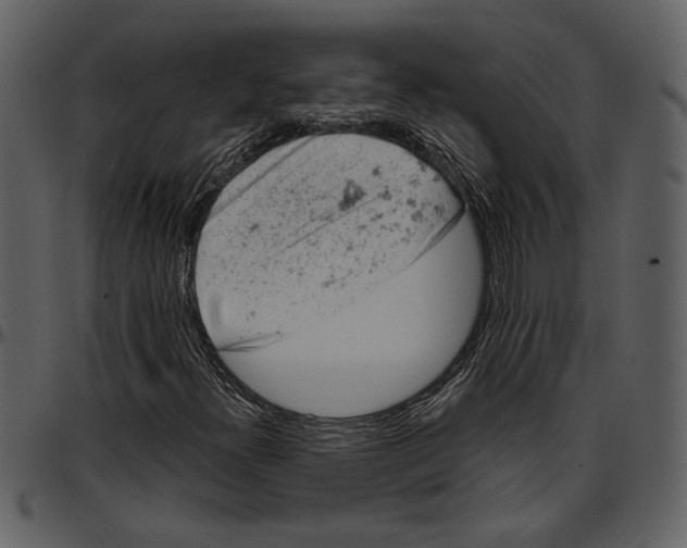 X0000096951300200802291046