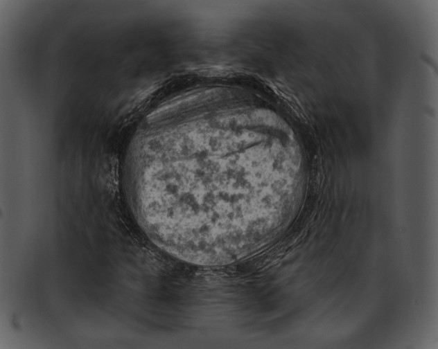 X0000096951301200802291046