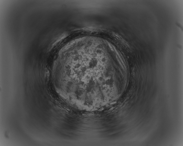 X0000096951302200802291046