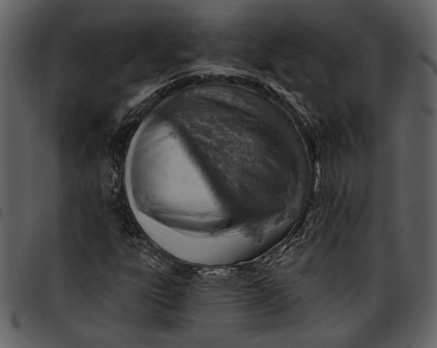 X0000096951303200802291046