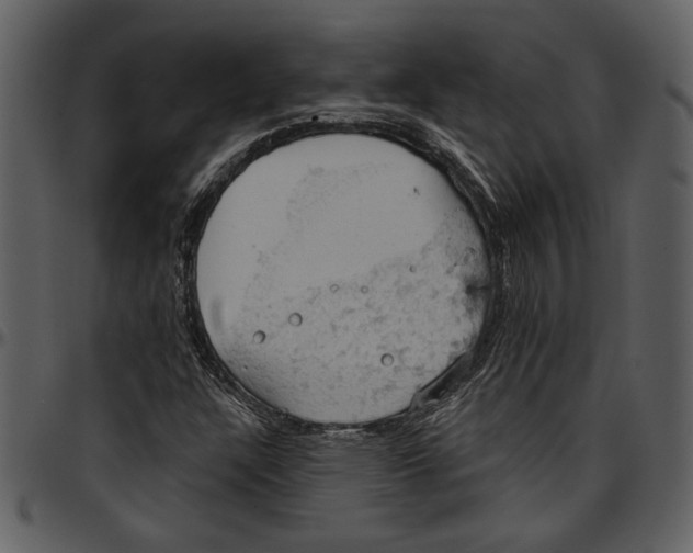 X0000096951304200802291046