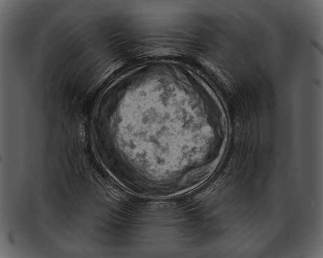 X0000096951305200802291046