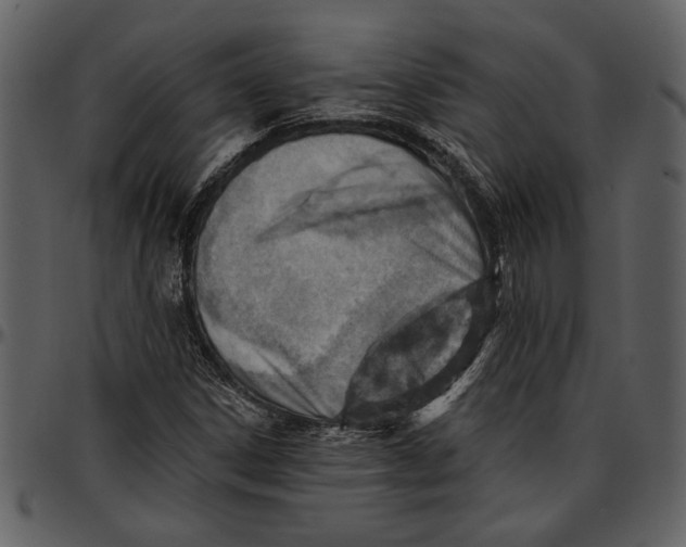 X0000096951306200802291046