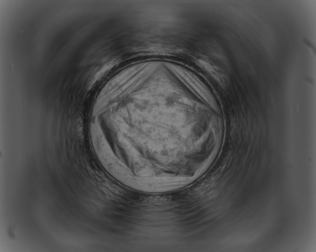 X0000096951307200802291047