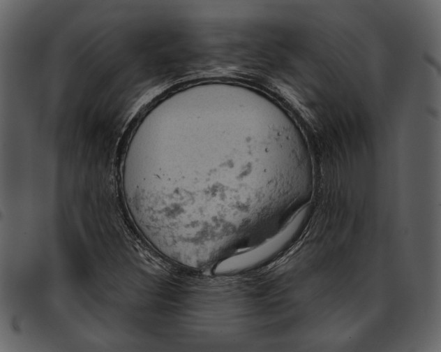 X0000096951308200802291047