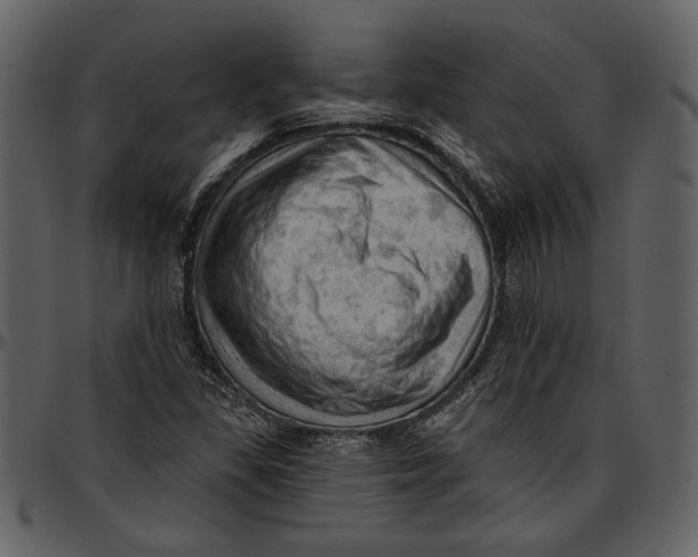 X0000096951309200802291047