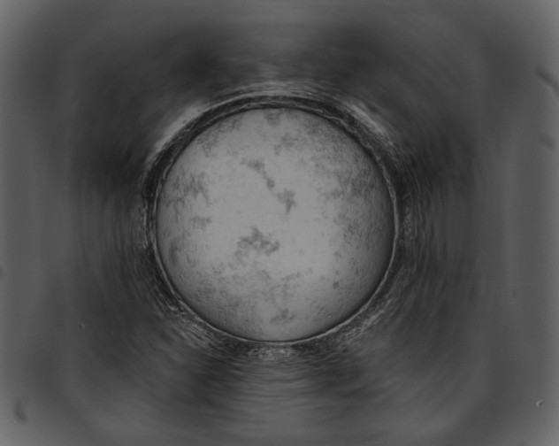 X0000096951310200802291047