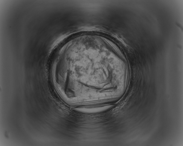 X0000096951311200802291047