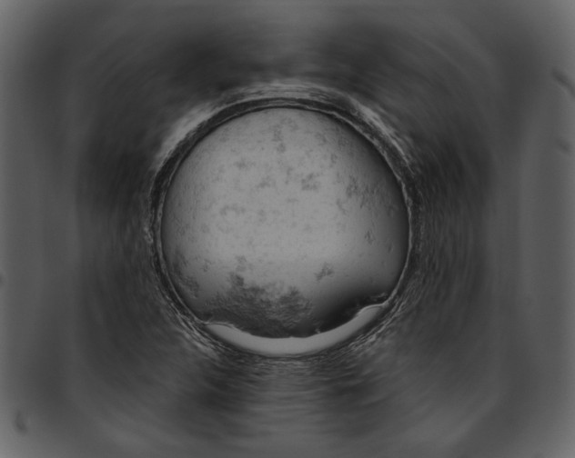 X0000096951312200802291047