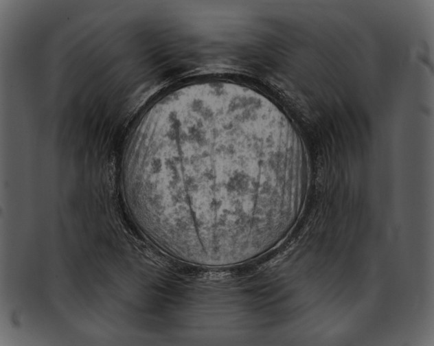 X0000096951313200802291047