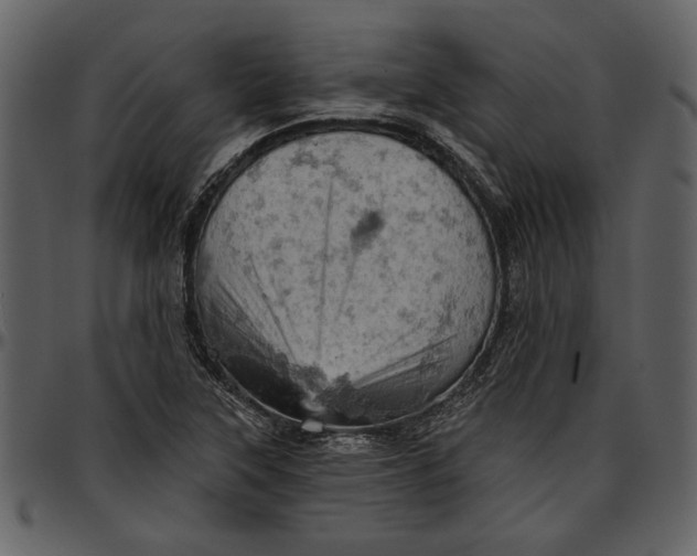 X0000096951315200802291047