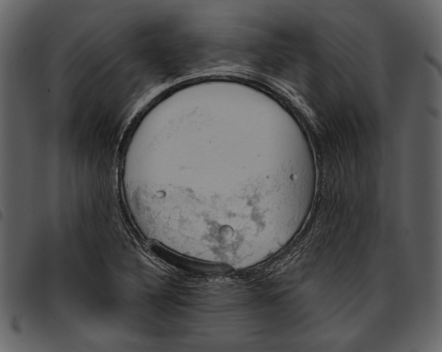 X0000096951316200802291047