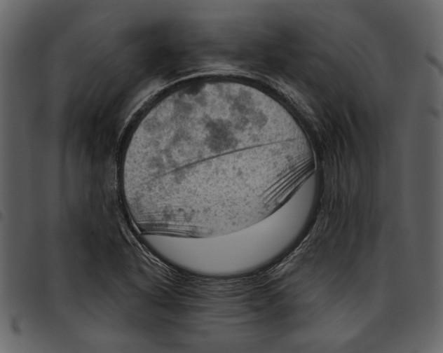 X0000096951318200802291047