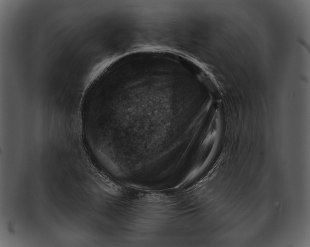 X0000096951319200802291047