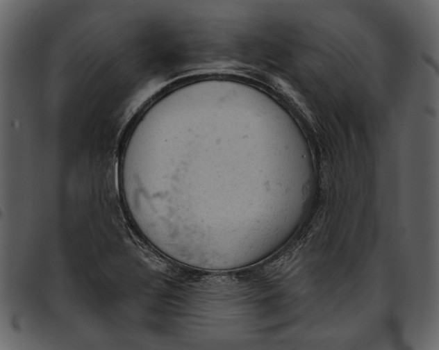 X0000096951320200802291047